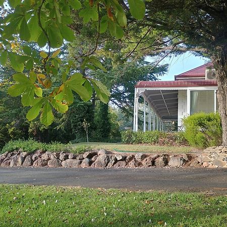 Moore Park Inn Armidale Buitenkant foto