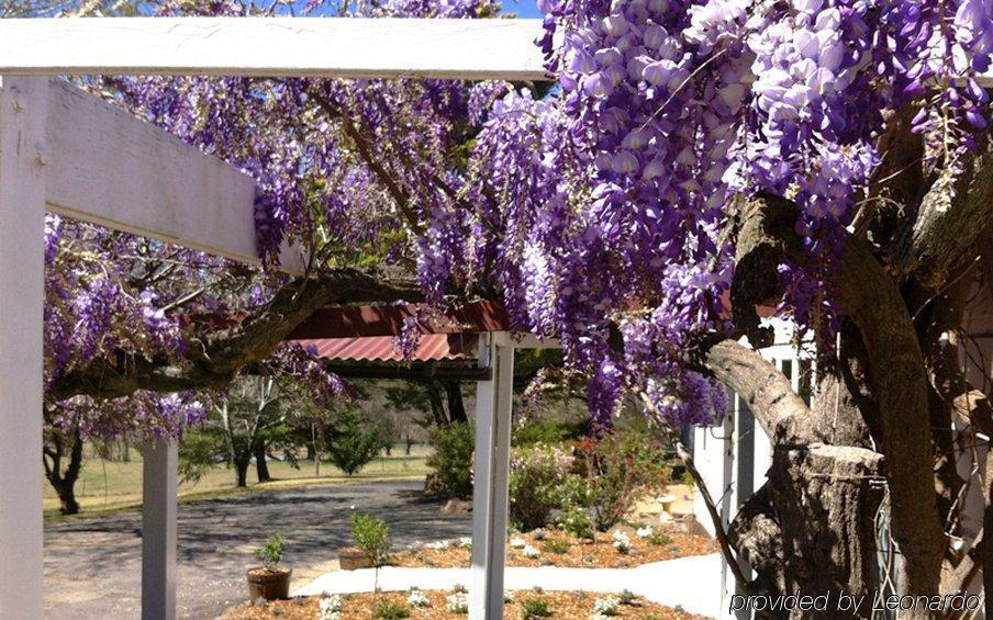 Moore Park Inn Armidale Buitenkant foto