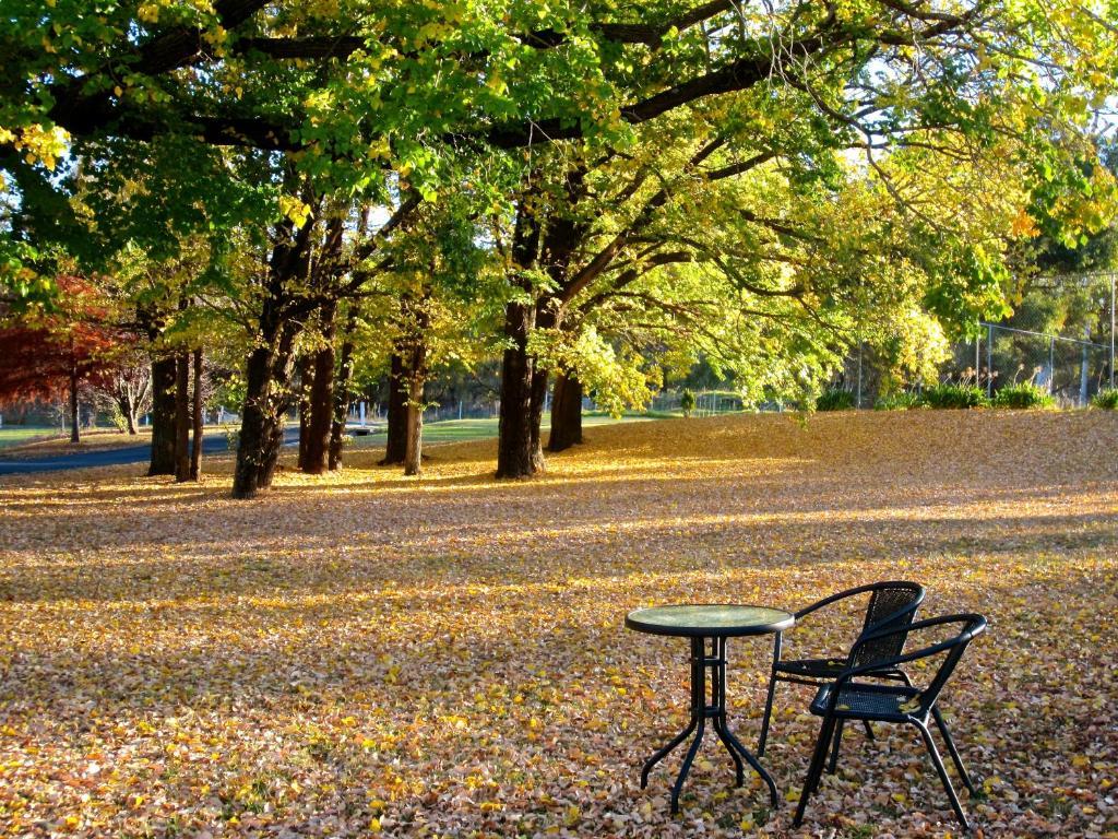 Moore Park Inn Armidale Buitenkant foto