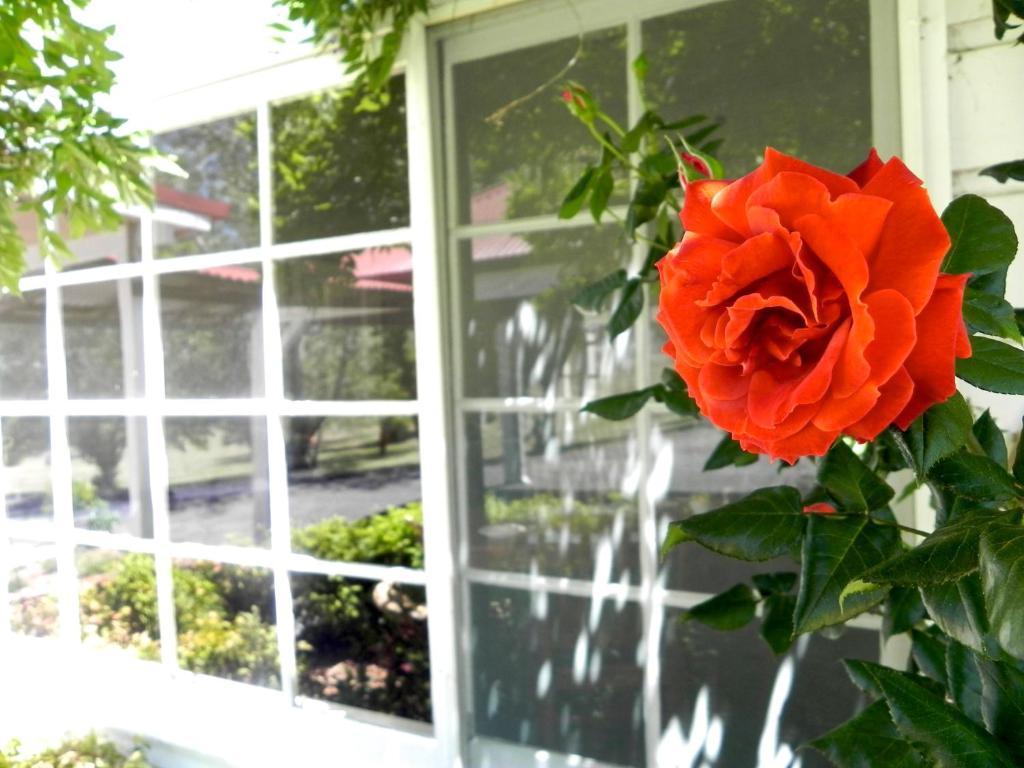 Moore Park Inn Armidale Buitenkant foto