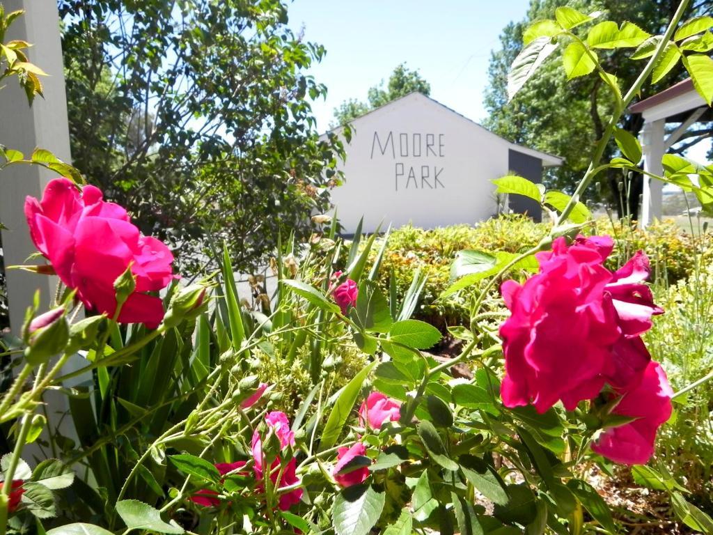 Moore Park Inn Armidale Buitenkant foto